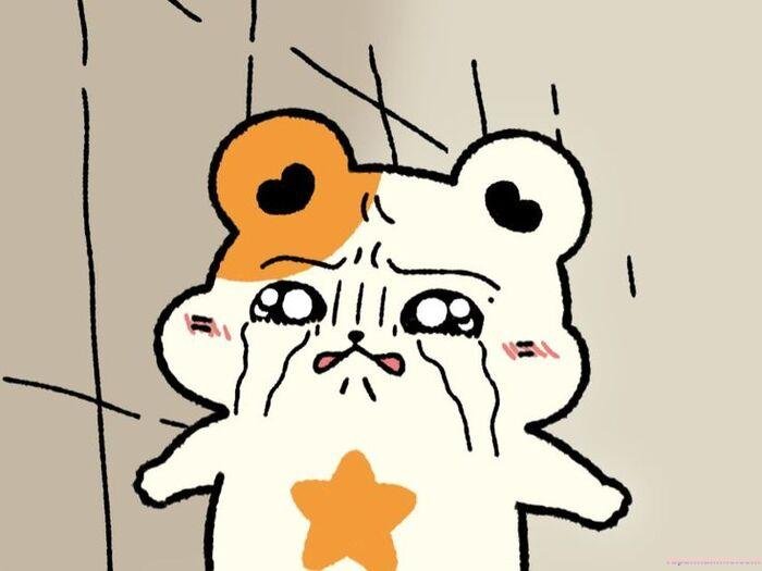 meme tổn thương thỏ cute