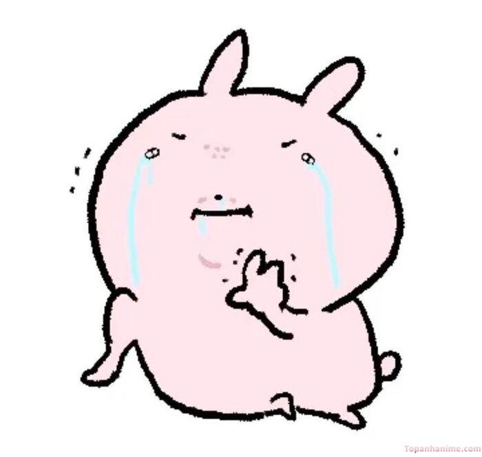 meme tổn thương thỏ hồng