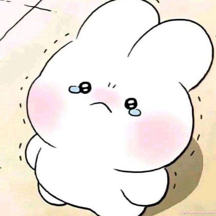 meme tổn thương thỏ xinh