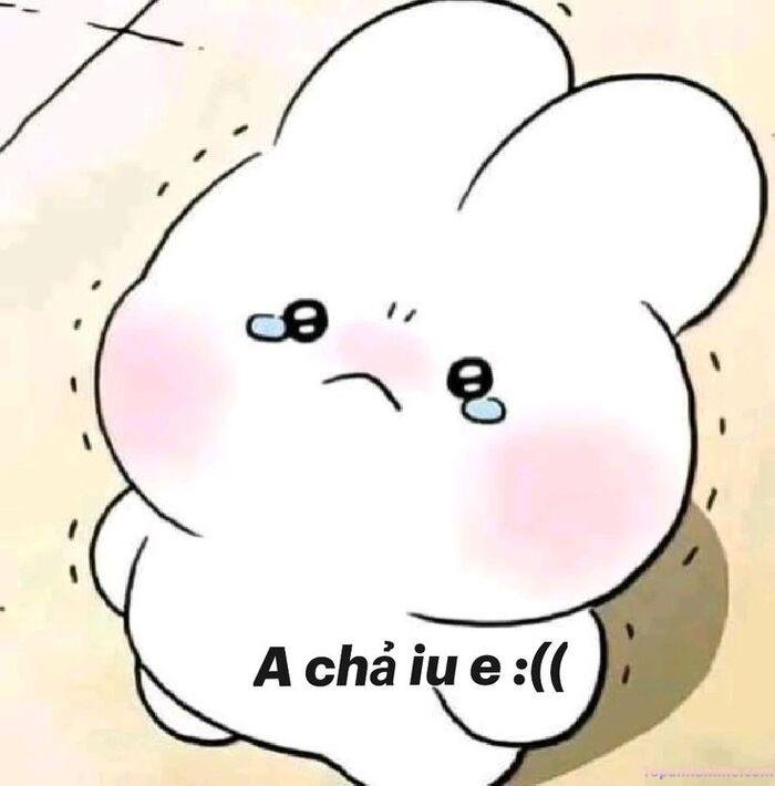 meme tổn thương thỏ