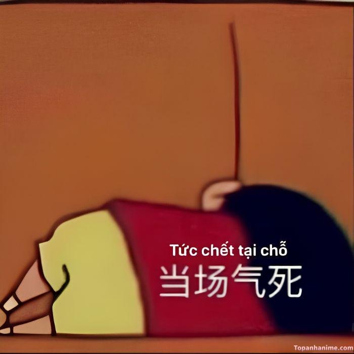 meme tủi thân cu shin