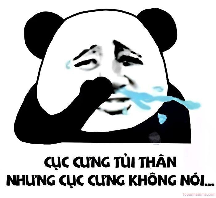 meme tủi thân gấu trúc
