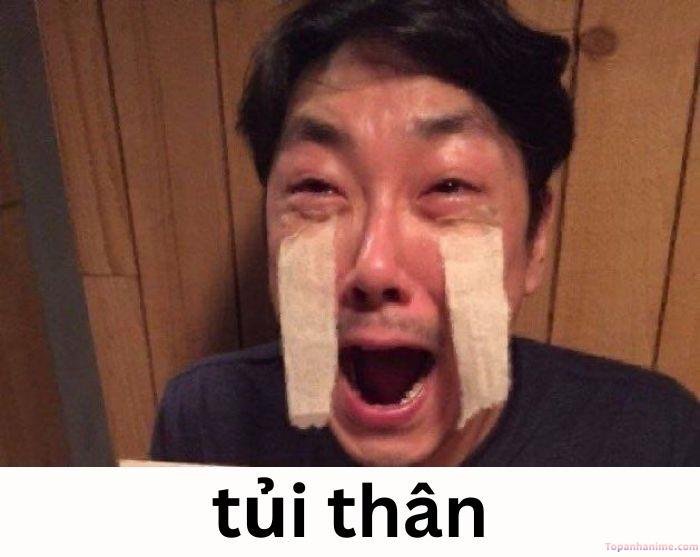 meme tủi thân khóc