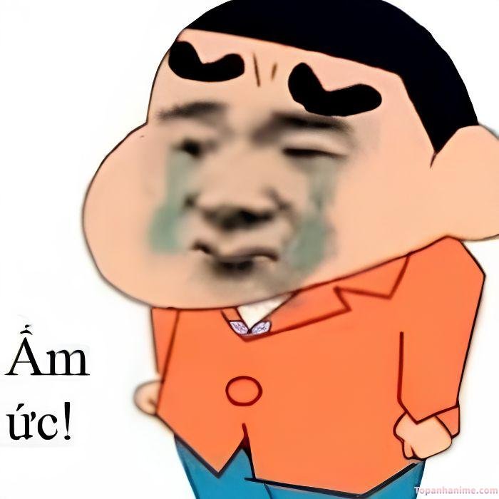 meme tủi thân shin hài