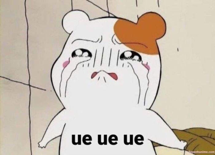 meme tủi thân thỏ