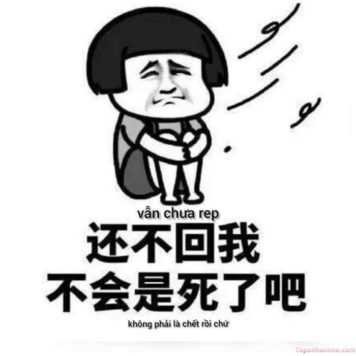 meme tủi thân trung quốc