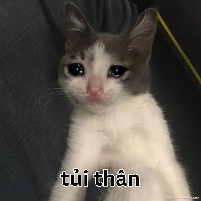 meme tủi thân