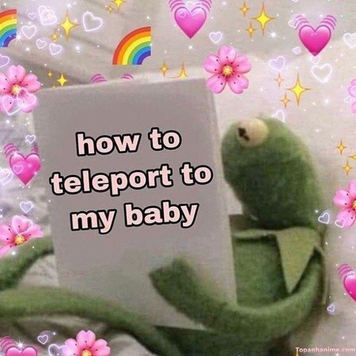 meme yêu thương con ếch