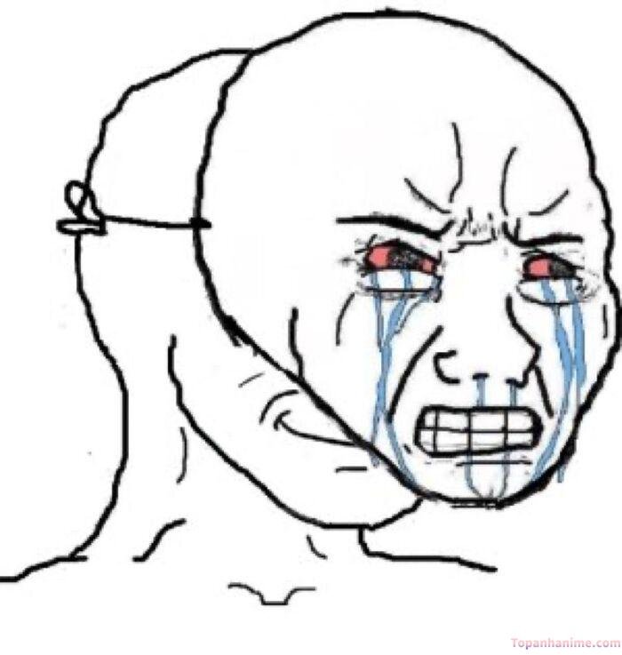 tuyệt vọng meme che mặt