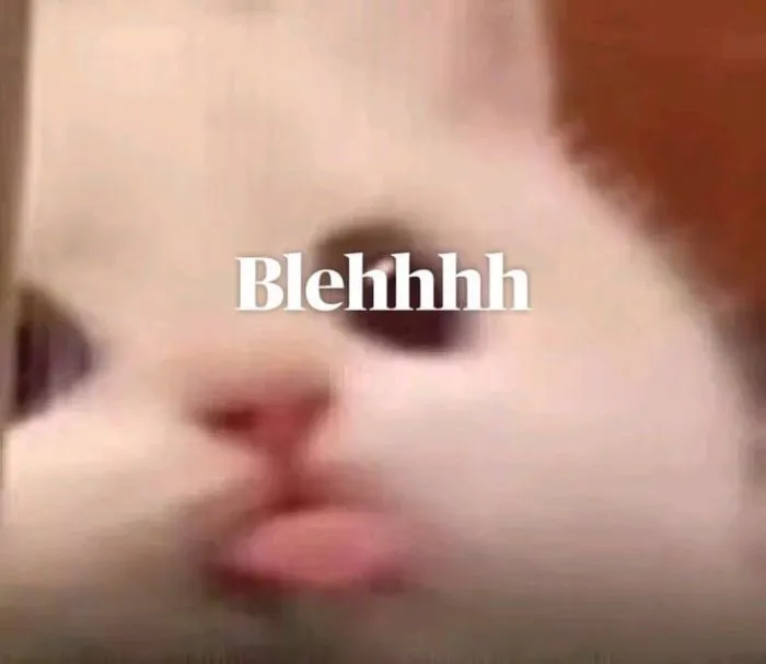 Khám phá 147+ meme lêu lêu hài hước, siêu độc đáo Khám phá 147+ meme lêu lêu hài hước, siêu độc đáo