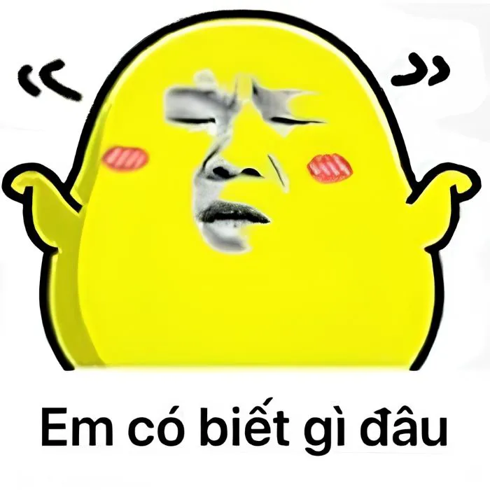 Hơn 99+ ai biết gì đâu meme khiến bạn cười thả ga! Hơn 99+ ai biết gì đâu meme khiến bạn cười thả ga!