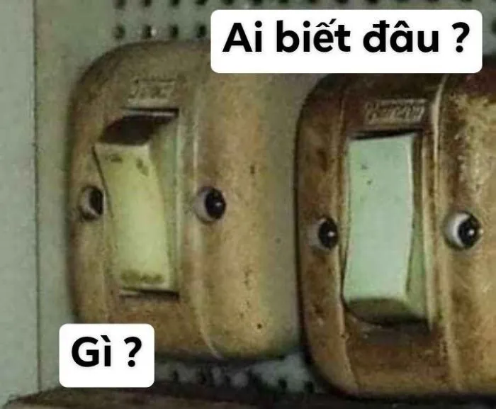 Hơn 99+ ai biết gì đâu meme khiến bạn cười thả ga! Hơn 99+ ai biết gì đâu meme khiến bạn cười thả ga!