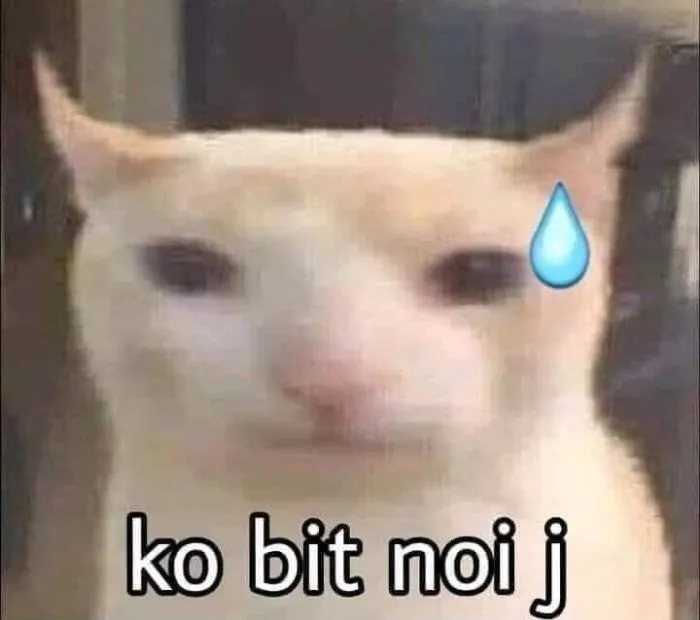 Hơn 99+ ai biết gì đâu meme khiến bạn cười thả ga! Hơn 99+ ai biết gì đâu meme khiến bạn cười thả ga!