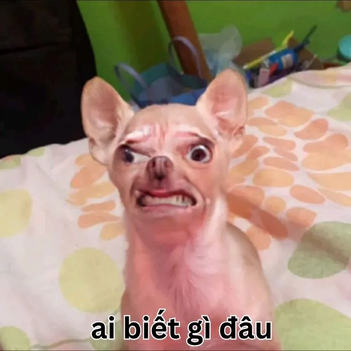 Hơn 99+ ai biết gì đâu meme khiến bạn cười thả ga! Hơn 99+ ai biết gì đâu meme khiến bạn cười thả ga!