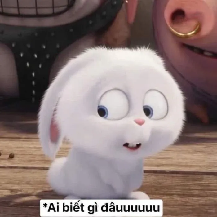 Hơn 99+ ai biết gì đâu meme khiến bạn cười thả ga! Hơn 99+ ai biết gì đâu meme khiến bạn cười thả ga!