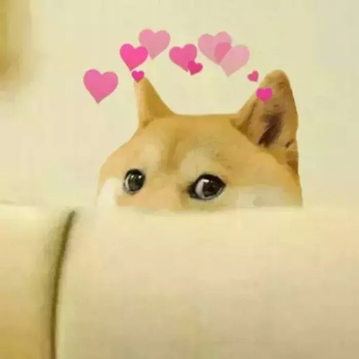 250+ cheems meme hài hước nhất, không thể bỏ lỡ