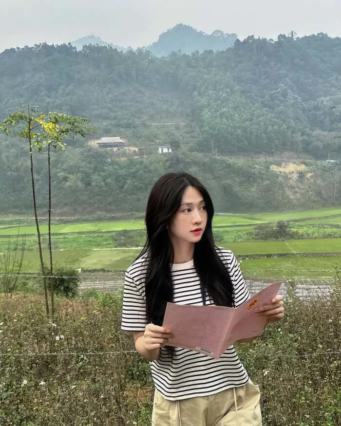 Khám phá 128+ hình ảnh lê bống cực cuốn hút mọi góc nhìn