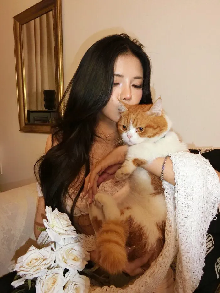 Khám phá 99+ mẫu mai dora đẹp mê hồn