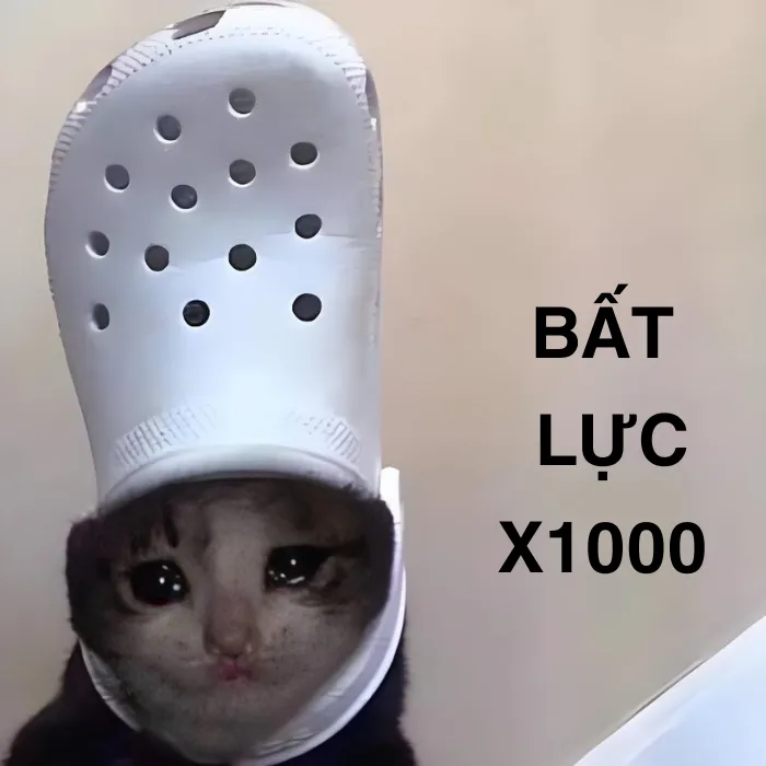 93+ ảnh meme bất lực hài hước, relatable nhất
