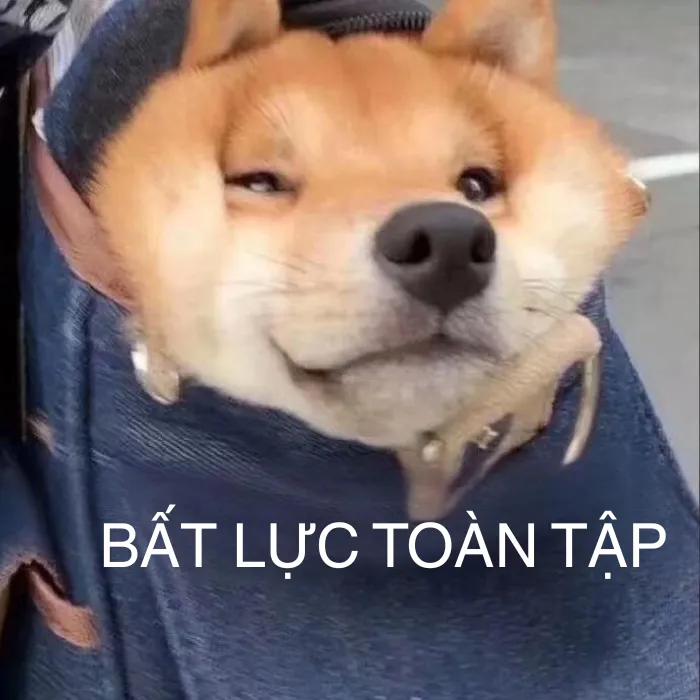 93+ ảnh meme bất lực hài hước, relatable nhất
