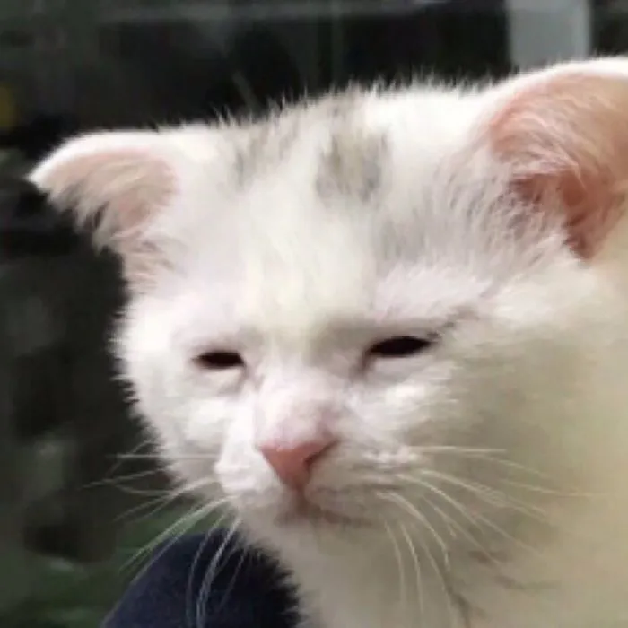 210+ meme buồn ngủ cực hài, ai nhìn cũng phải gật gù 210+ meme buồn ngủ cực hài, ai nhìn cũng phải gật gù