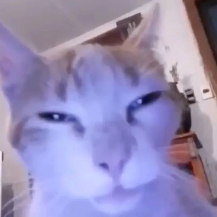 210+ meme buồn ngủ cực hài, ai nhìn cũng phải gật gù 210+ meme buồn ngủ cực hài, ai nhìn cũng phải gật gù