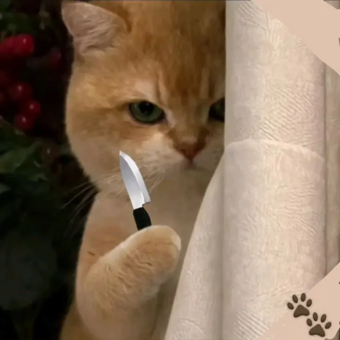 Khám phá 98+ meme cầm dao hài hước, độc đáo nhất hiện nay