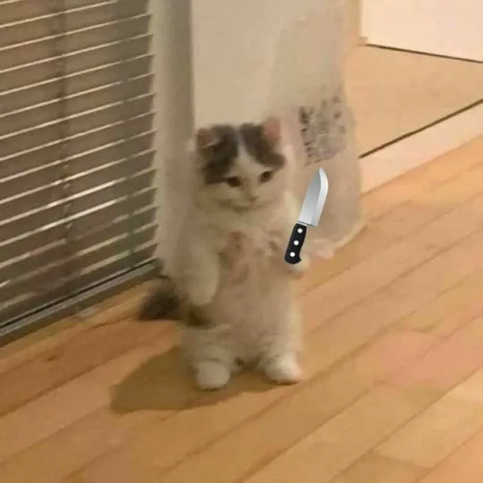Khám phá 98+ meme cầm dao hài hước, độc đáo nhất hiện nay