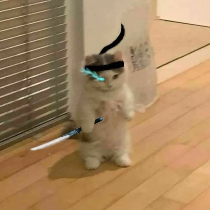 Khám phá 98+ meme cầm dao hài hước, độc đáo nhất hiện nay