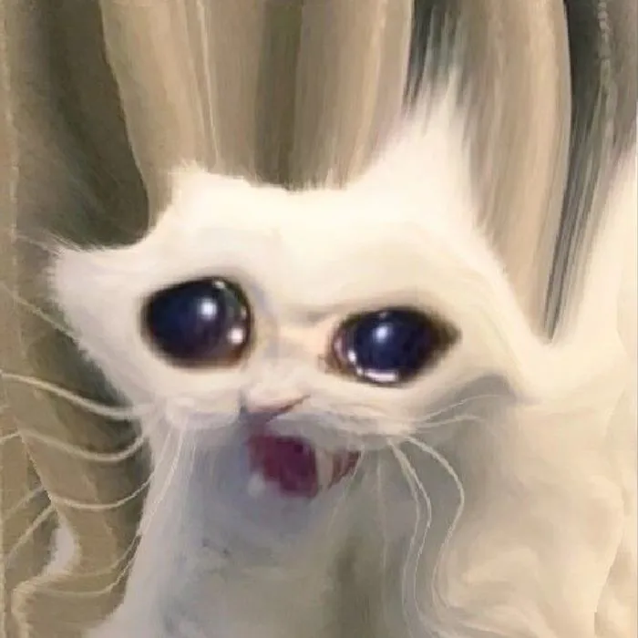 Khám phá 245+ meme cảm động lay động trái tim người xem