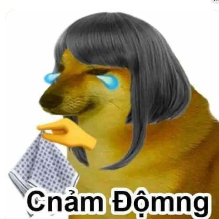 Khám phá 245+ meme cảm động lay động trái tim người xem