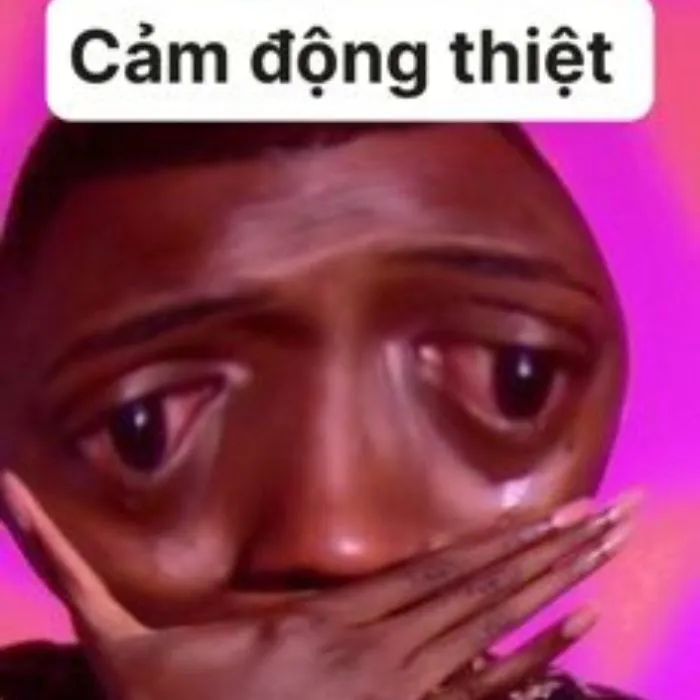 Khám phá 245+ meme cảm động lay động trái tim người xem