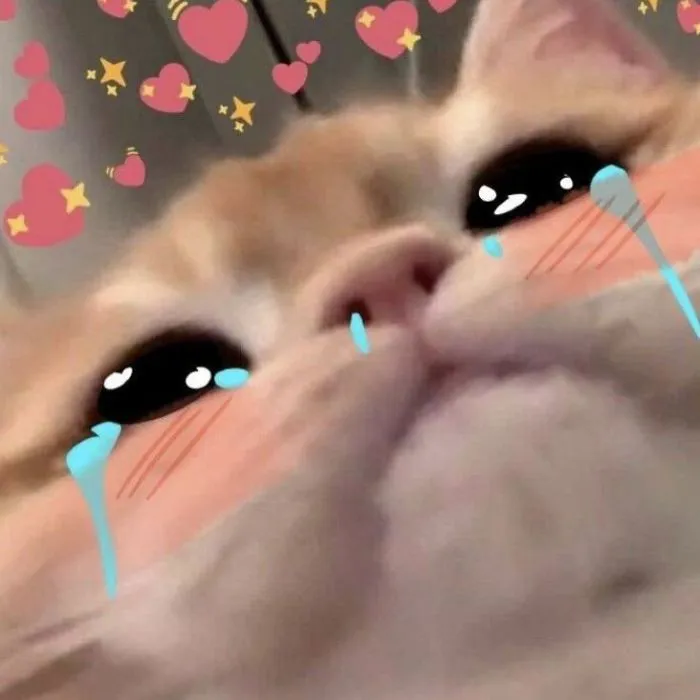 Khám phá 245+ meme cảm động lay động trái tim người xem
