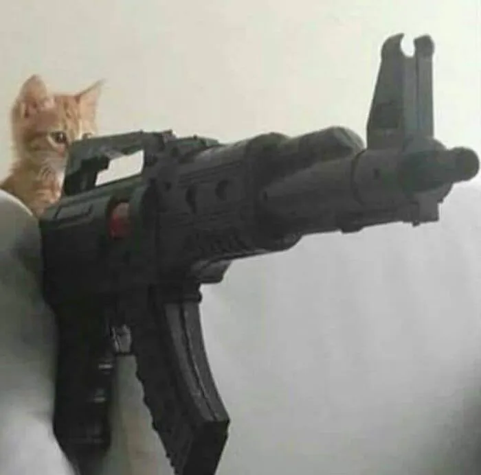 Tuyển tập meme cầm súng hài hước 150+ khiến bạn cười nghiêng ngả Tuyển tập meme cầm súng hài hước 150+ khiến bạn cười nghiêng ngả