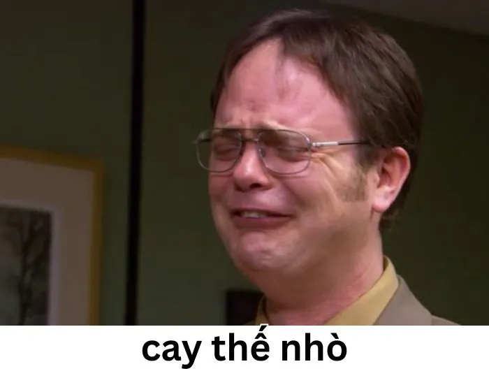 Tuyển tập 97+ meme cay cú, hài hước khiến bạn không nhịn được cười
