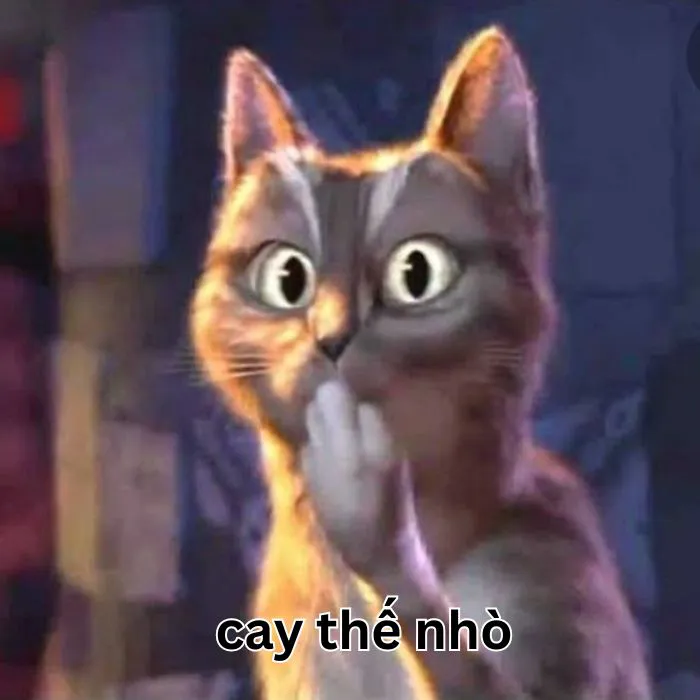 Tuyển tập 97+ meme cay cú, hài hước khiến bạn không nhịn được cười