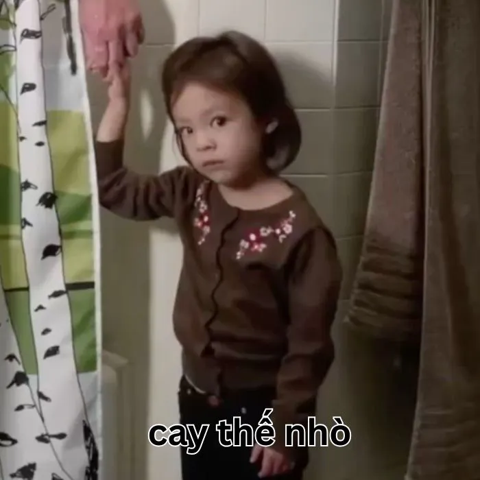 Tuyển tập 97+ meme cay cú, hài hước khiến bạn không nhịn được cười