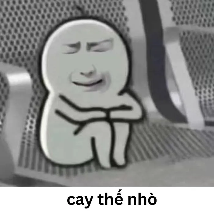 Tuyển tập 97+ meme cay cú, hài hước khiến bạn không nhịn được cười