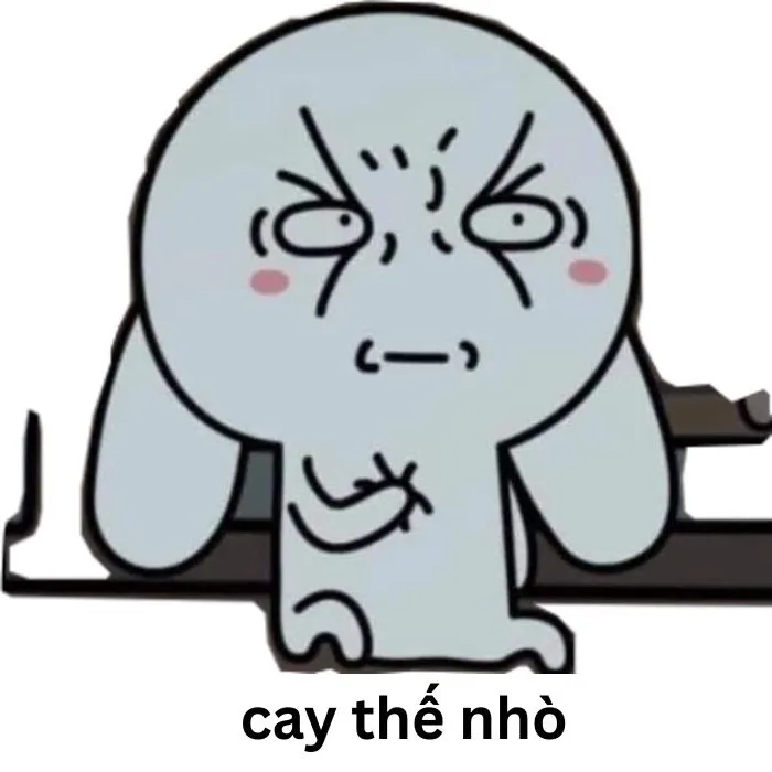 Tuyển tập 97+ meme cay cú, hài hước khiến bạn không nhịn được cười