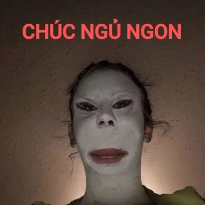 Khám phá 123+ meme chúc ngủ ngon hài hước, dễ thương nhất