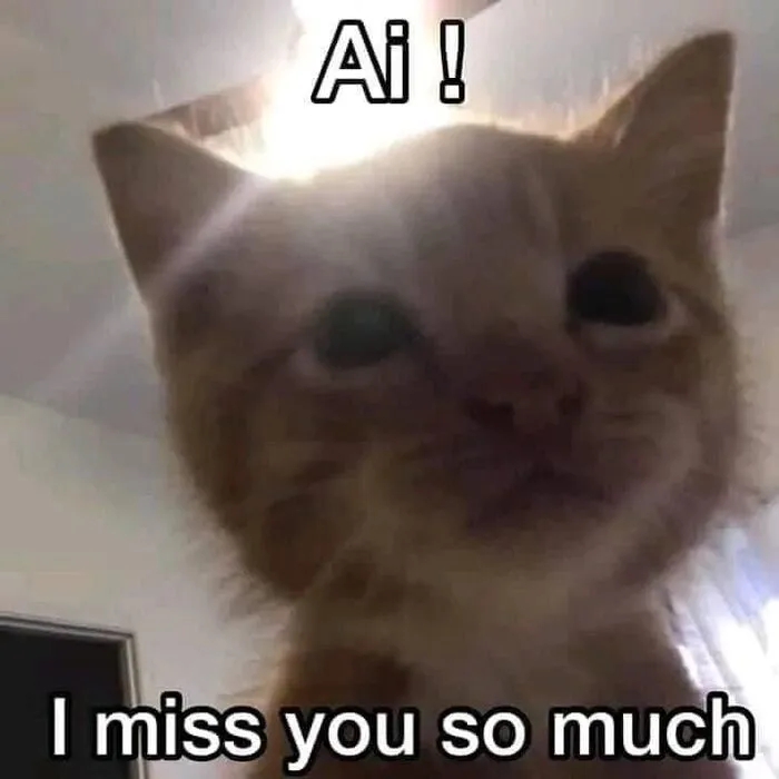 Tuyển tập 137+ meme đáng yêu, hài hước làm tan chảy trái tim