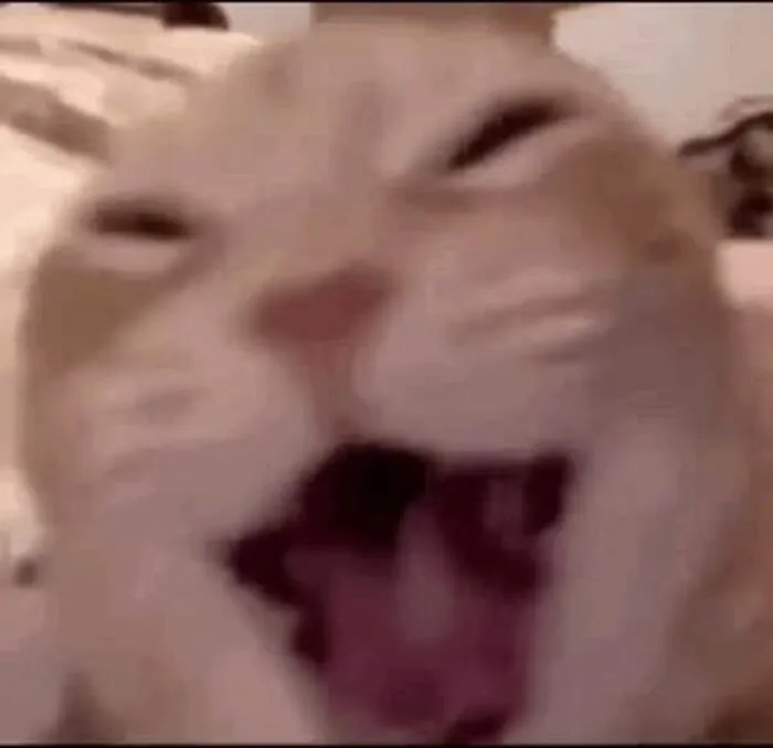 Tuyển tập 137+ meme đáng yêu, hài hước làm tan chảy trái tim