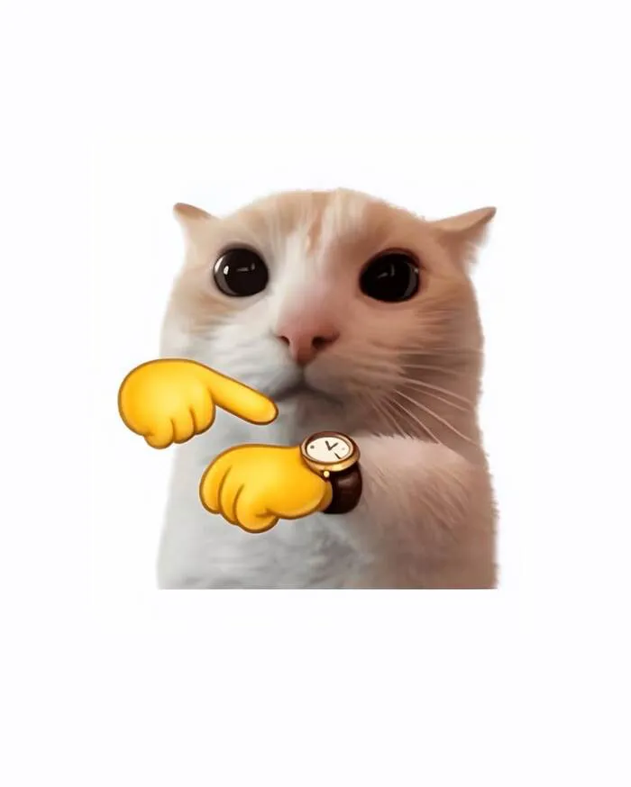 Tuyển tập 137+ meme đáng yêu, hài hước làm tan chảy trái tim