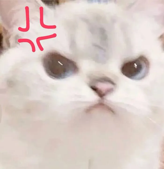 Tuyển tập 137+ meme đáng yêu, hài hước làm tan chảy trái tim