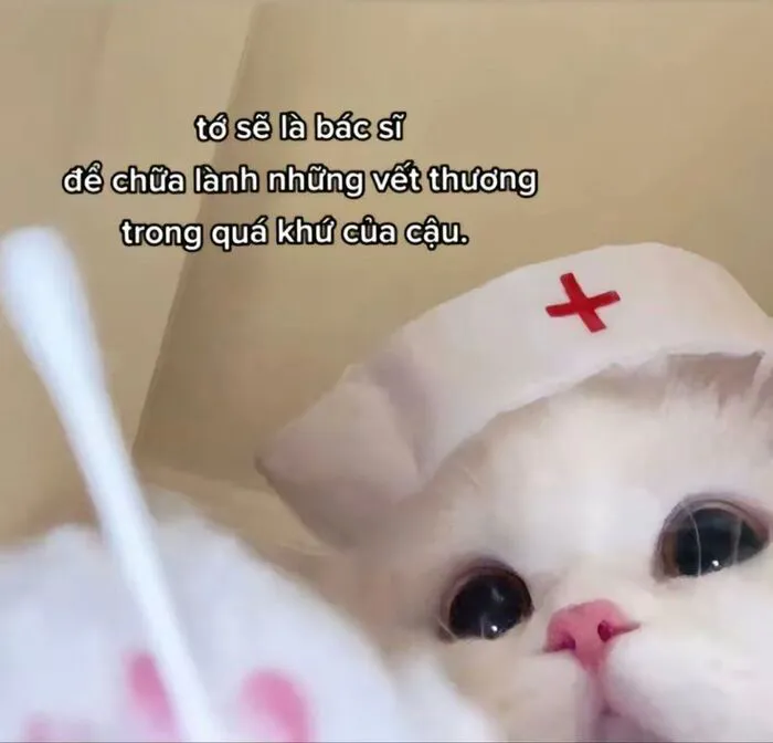 Tuyển tập 137+ meme đáng yêu, hài hước làm tan chảy trái tim