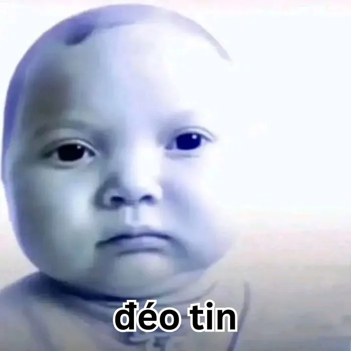 Tuyển tập 138+ meme đéo tin gây cười cực mạnh Tuyển tập 138+ meme đéo tin gây cười cực mạnh
