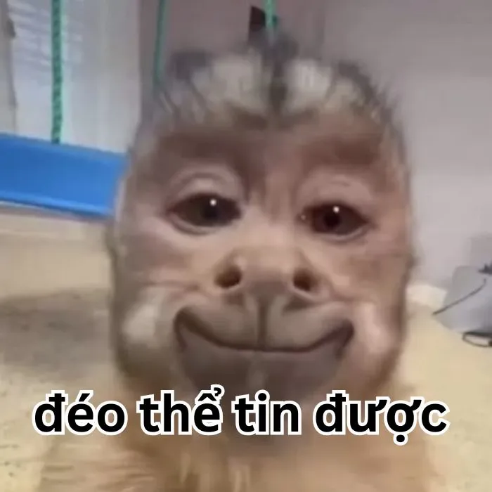 Tuyển tập 138+ meme đéo tin gây cười cực mạnh Tuyển tập 138+ meme đéo tin gây cười cực mạnh