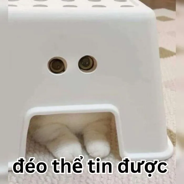 Tuyển tập 138+ meme đéo tin gây cười cực mạnh Tuyển tập 138+ meme đéo tin gây cười cực mạnh