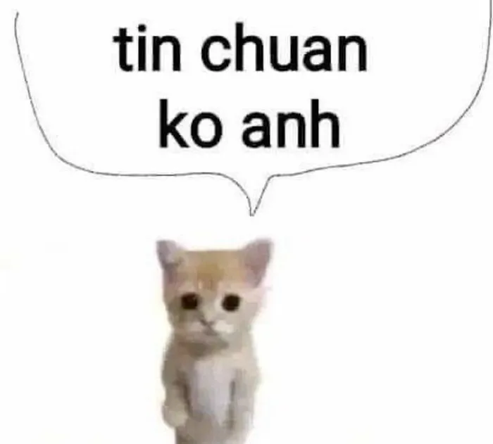Tuyển tập 138+ meme đéo tin gây cười cực mạnh Tuyển tập 138+ meme đéo tin gây cười cực mạnh