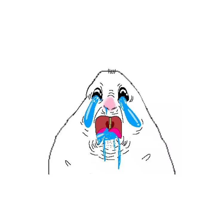 108+ meme động vật hài hước cười ra nước mắt 108+ meme động vật hài hước cười ra nước mắt